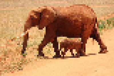This example pixelates the entire image with pixel size of 5px.