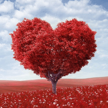 This example converts a PNG of a heart-shaped tree without transparency that uses all colors to a GIF without transparency. As PNG supports more colors than GIF, it uses a neural network quantization algorithm to convert all PNG colors to GIF colors.