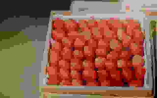 This example reduces the quality and compression of a strawberry JPEG image to 0. The output is just JPEG artifacts and it's hard to tell what's displayed in the output image.